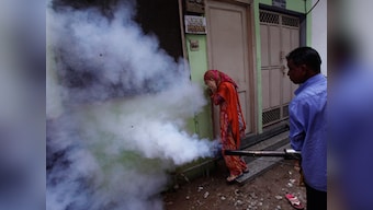 Dengue now a 'notified disease': BMC officials can enter your home to check for larvae