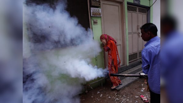 Dengue now a 'notified disease': BMC officials can enter your home to check for larvae