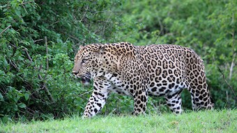Image gallery: Southern Sojourn