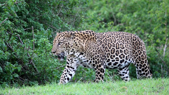 Image gallery: Southern Sojourn