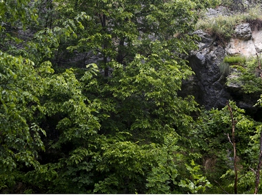India can answer its environmental woes by involving local communities under Biological Diversity Act India can answer its environmental woes by involving local communities under Biological Diversity Act