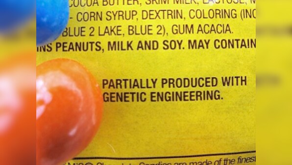 Genetically modified food safe to eat but does not solve world hunger problem: report