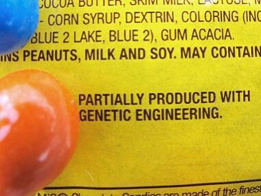 Genetically modified food safe to eat but does not solve world hunger problem: report