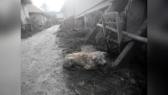 Volcano erupts in Indonesia: Seven dead, many villages destroyed