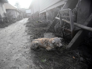 Volcano erupts in Indonesia: Seven dead, many villages destroyed Volcano erupts in Indonesia: Seven dead, many villages destroyed