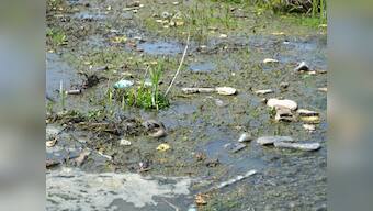 Of shrinking wetlands and looming environmental disaster in Kashmir