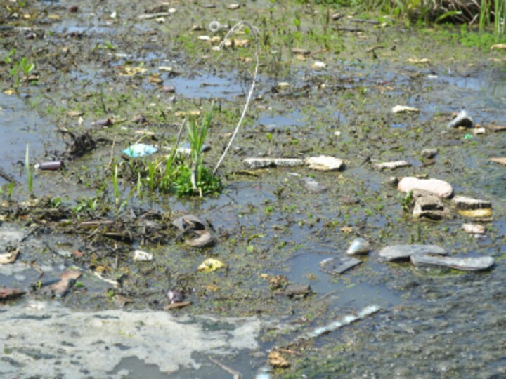 Of shrinking wetlands and looming environmental disaster in Kashmir