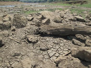 A man-made disaster is devastating Wayanad and political apathy is deepening the crisis A man-made disaster is devastating Wayanad and political apathy is deepening the crisis