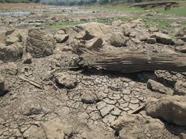 A man-made disaster is devastating Wayanad and political apathy is deepening the crisis