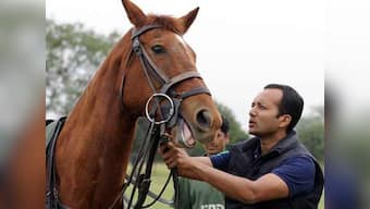 Coal scam case: Naveen Jindal, others granted bail by special court
