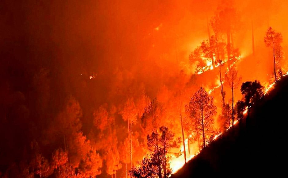 Fire in the mountains: Massive blaze engulfs forest of Uttarakhand - Photos  News , Firstpost