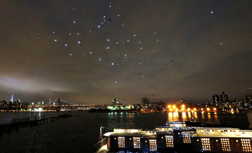 Some of the 2,000 pigeons wearing LED lights fly in the night sky over Manhattan's East River after they were released from their coops on Thursday. AP