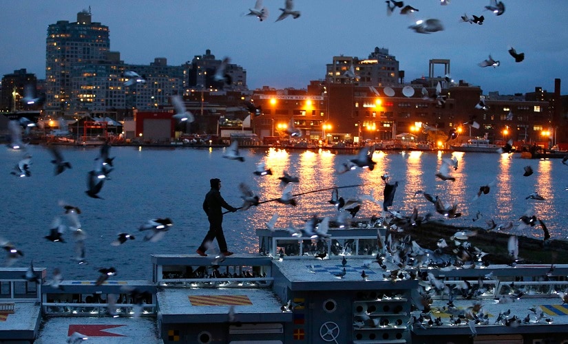 Artist Duke Riley rouses some of the 2,000 pigeons wearing LED lights to fly above their coops. AP