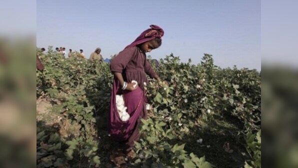 Pakistan doesn't want India's cotton