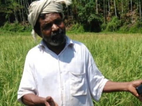 This tribal farmer preserves 40 indigenous paddy seeds and incurs Rs 30,000 loss every year This tribal farmer preserves 40 indigenous paddy seeds and incurs Rs 30,000 loss every year