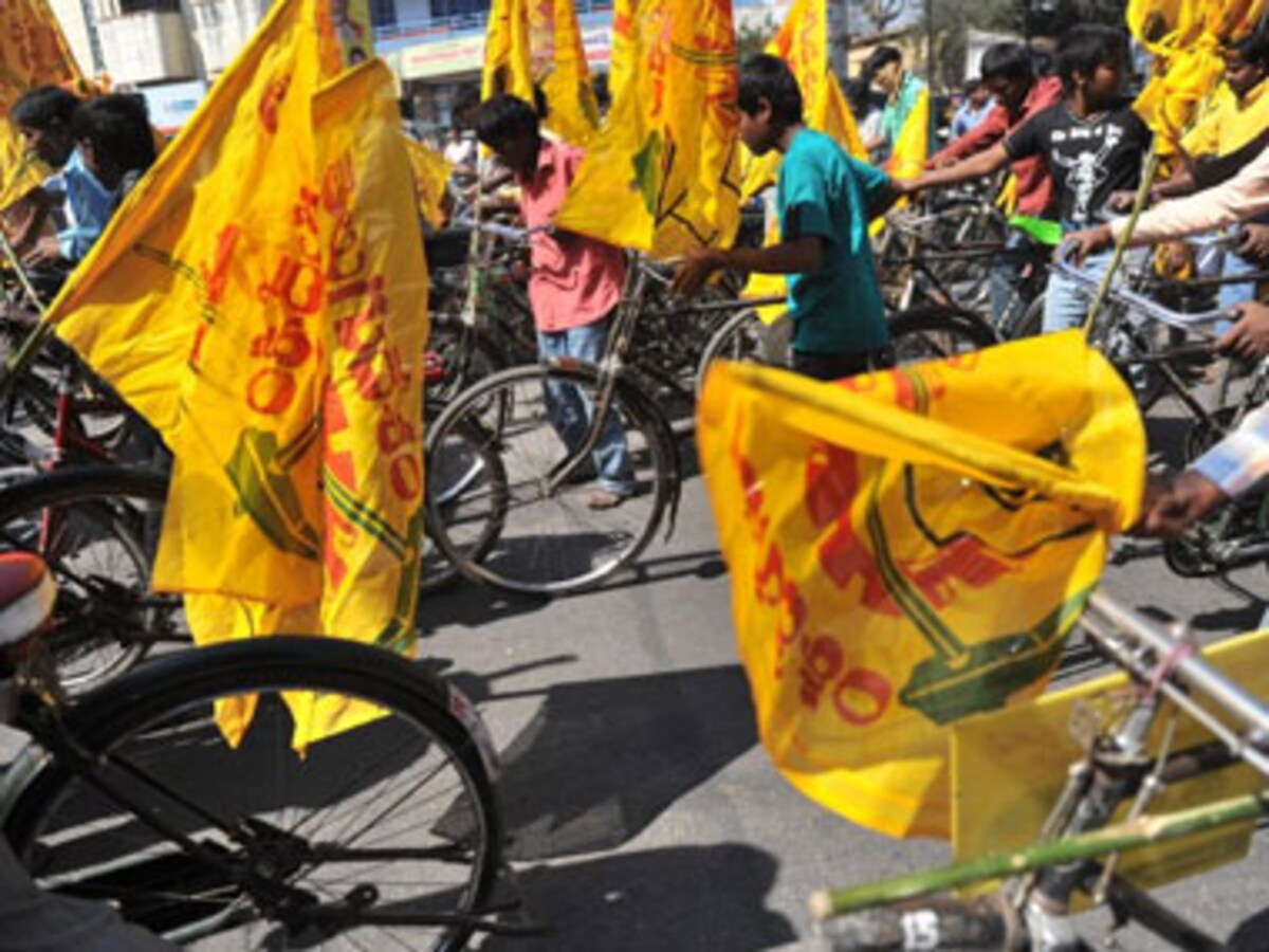 Tdp Party Flag