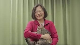 Tsai Ing-wen is not a 'crazy cat lady': Taiwan's first woman president is single, strong and proud