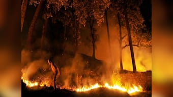 As heat wave continues, fresh forest fires destroy green cover in Uttarakhand