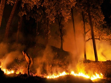 As heat wave continues, fresh forest fires destroy green cover in Uttarakhand As heat wave continues, fresh forest fires destroy green cover in Uttarakhand