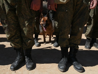 The dog escaped the battle unhurt and has been hailed a hero by troops after saving the British team's lives. Representational image. Getty images