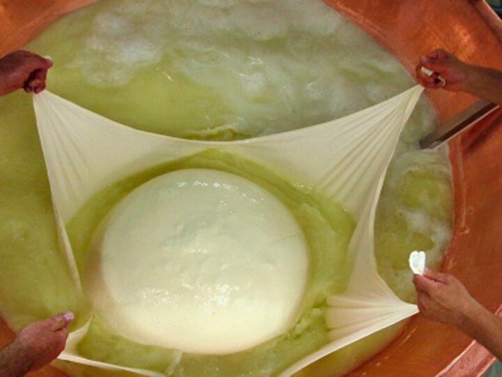 The Maneka Gandhi column: Watch out! There's wood pulp in your cheese!