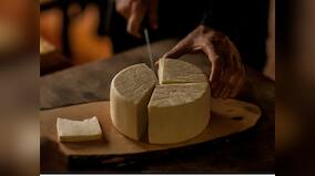 Improving immunity to lowering blood pressure: 5 health benefits of cheese