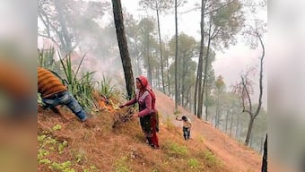 Uttarakhand forests continue to burn: Around 2,270 hectares in five districts affected