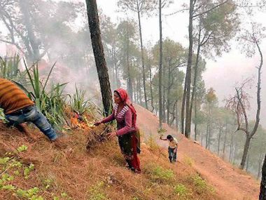 Uttarakhand forests continue to burn: Around 2,270 hectares in five districts affected Uttarakhand forests continue to burn: Around 2,270 hectares in five districts affected
