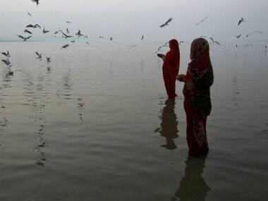 Turtles simply cannot clean the toxic sludge that is the River Ganga