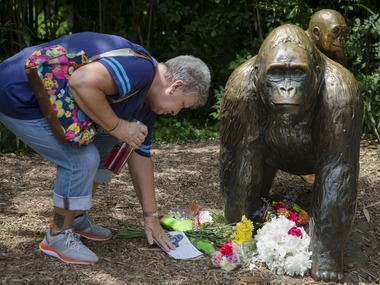 Endangered gorilla shot dead in Cincinnati zoo: Killing sparks debate on man-animal conflict Endangered gorilla shot dead in Cincinnati zoo: Killing sparks debate on man-animal conflict