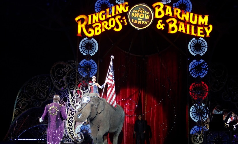 An Asian elephant performs during the national anthem for the final elephant performance during the Ringling Bros and Barnum & Bailey Circus on Sunday. AP