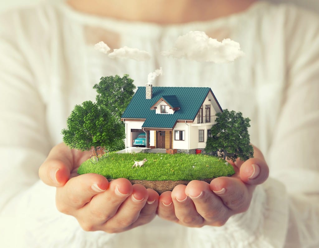 Image Courtesy: Shutterstock