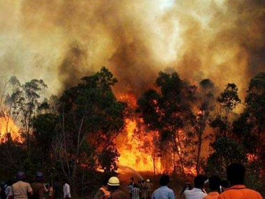 30% surge in forest fires this year, 95% caused due to human negligence 30% surge in forest fires this year, 95% caused due to human negligence
