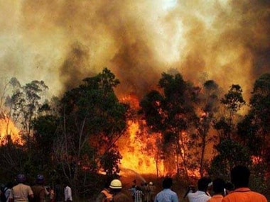File photo of the Uttarakhand forest fire. PTI