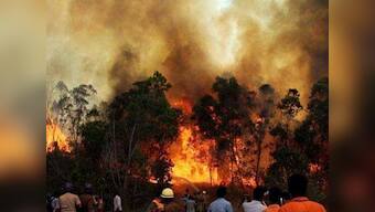Forest fire aftermath: NGT bars Uttarakhand govt from cutting trees for roadworks