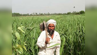 Vijay Mallya’s loan: BoB mistook farmer, security guard for Kingfisher directors!