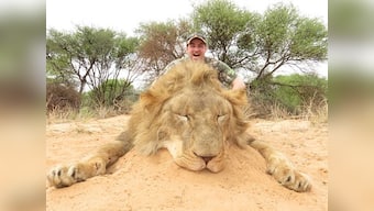 On World Giraffe Day, hunter Angelo Vukasovic claims 'tastiest meat I've ever eaten is giraffe'