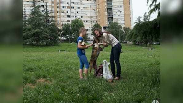 Belgrade activist sets up city's first pet food bank to feed stray animals