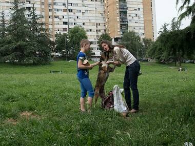 Belgrade activist sets up city's first pet food bank to feed stray animals