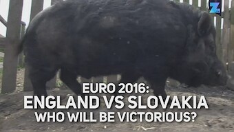 Watch: Marcus, the psychic pig makes prediction for England vs Slovakia clash at Euro 2016