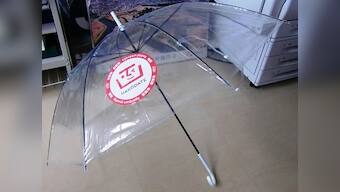 Umbrella heist in Hakodate dampens Japanese city's spirits