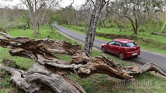 Best driving roads: Ooty to Mysore via Masinagudi