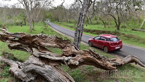 Best driving roads: Ooty to Mysore via Masinagudi