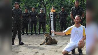 Tragic start: Amazon jaguar shot dead at Olympic torch ceremony in Brazil
