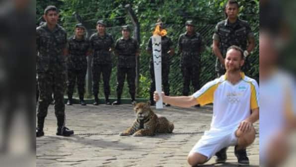 Tragic start: Amazon jaguar shot dead at Olympic torch ceremony in Brazil
