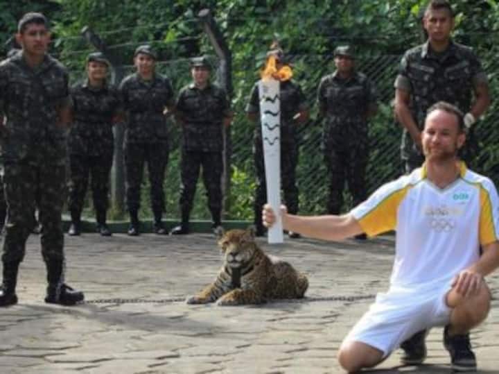 Tragic start: Amazon jaguar shot dead at Olympic torch ceremony in Brazil