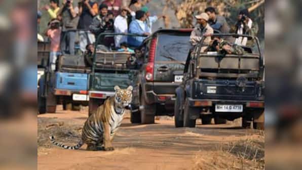 Thirty years on, jungle safaris still thrive on the trusted Maruti Suzuki Gypsy