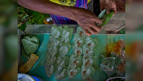 myanmar tobacco Rolled in Leaves, Sold on Market in Stock Photo tourisminmyanmar.com.mm - Myanmar traditional cigar,
