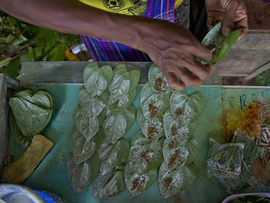 myanmar tobacco Cheroots and at factory, Inle Lake, Shan State, Myanmar. Photo Nile Sprague Stock Photo Alarm Sounded Over Myanmar's Betel