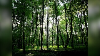 Overcoming depression now a 30-minute walk in the park